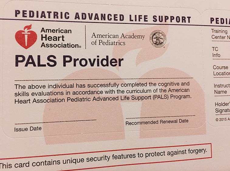 Atlanta PALS skills sessions