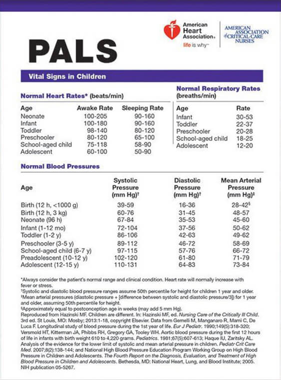 Best Atlanta PALS Classes